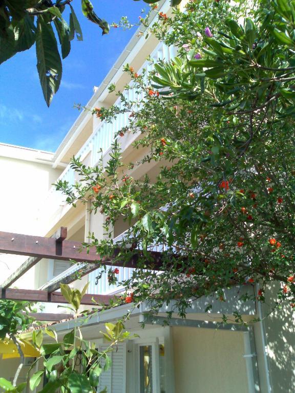 Villa Tenzera Herceg Novi Eksteriør bilde